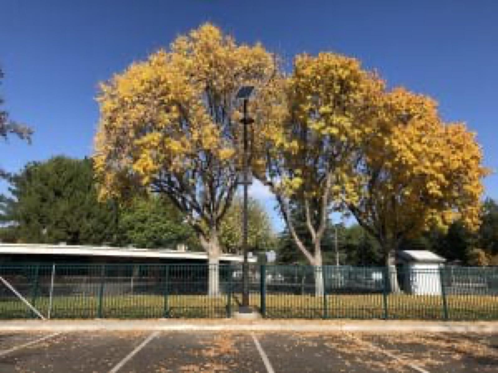 solar street lights are worth the money