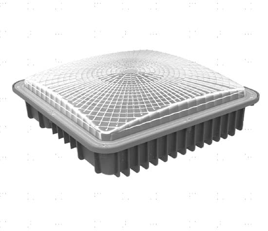 Canopy Light